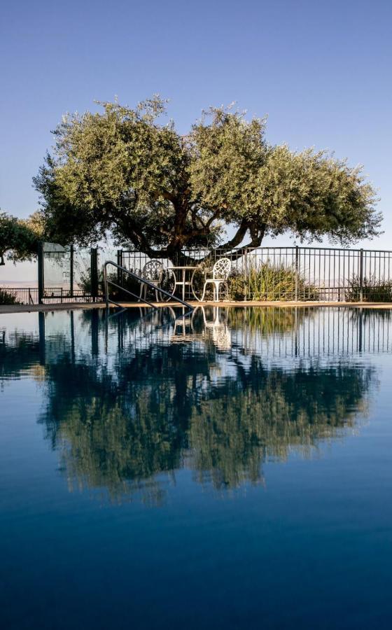 Boutique Hotel Tamarin Rosh Pinna Bagian luar foto
